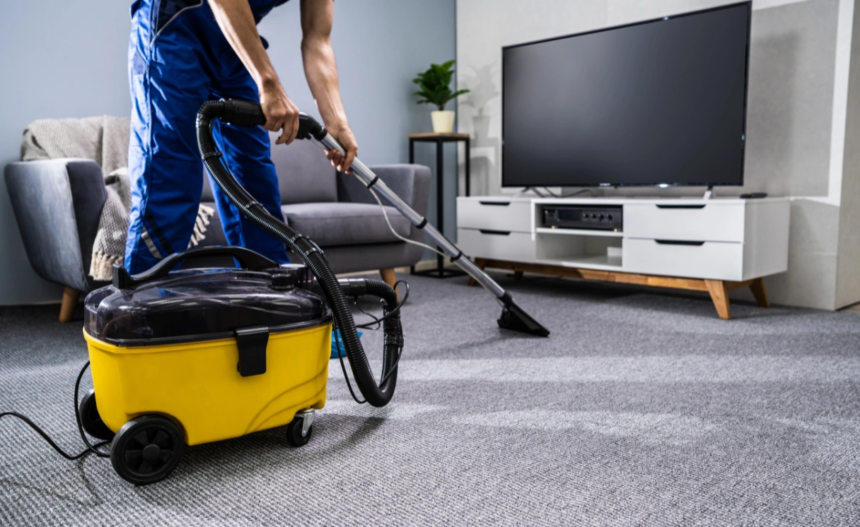 Extract Carpet Cleaning Bentleigh Contact Office